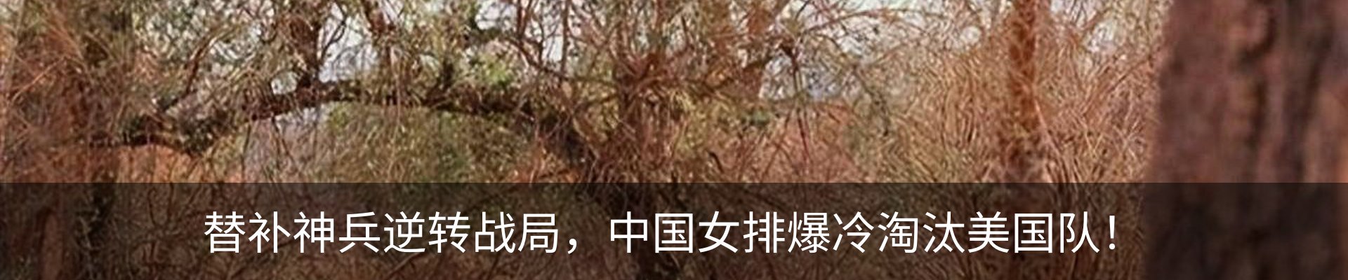 热点资讯